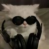 sigma_mewing36