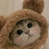 user8528345610961