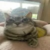 bigma.lalls
