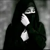 baib313