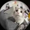 biley_techu
