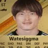 ermwattahsigma