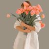 amal6801