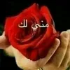user6686241997886
