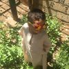 bnmahmoud123450