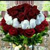 aisha_almati