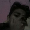 bulls_444jr