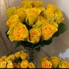 om_faysal0