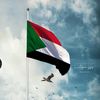 alzool44