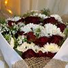 mayelsayed585