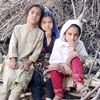 ahmedhussain3524