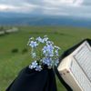 douaa_272