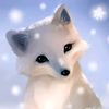 somerandomfox70