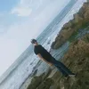 youssefyousse84