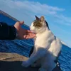mouhamilanou