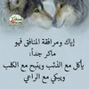 user8478185843386