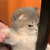lulujelhe42