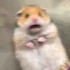 emmadevy_236