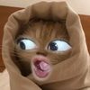 im.octnliaaaaa