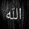 alaaabdul0623