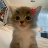 lip_xz