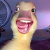 uiaaaaaa24