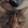 eugene_the_bean