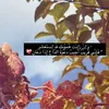 suf.i_7