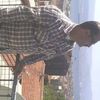 hasandemir1716