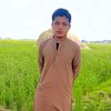 alibrohi5291