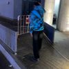 adammahmoud6012
