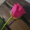 hindalshmiry