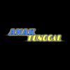 anaktunggall_99