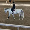 linnea_horse