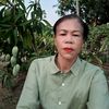 yayban4