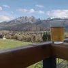 cnek_1238