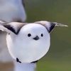 user_____4411