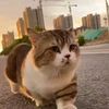 boyy77_bkk