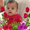 user431333699