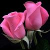 nadeemkhannadeem2423