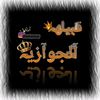 shaheen.elgazwy