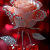 abeeralsham000