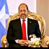 ahmedkingshaaciye
