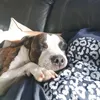 amy_r_90