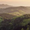 sksisokejwk8273