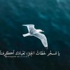 dyrljlp6re7q