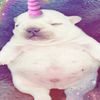 ___lxovelxil___