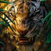 shere.khan71