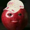 boh.mae