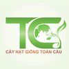 cayhatgiongtoancau